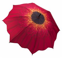 Red Daisy Folding Umbrella (gift boxed)